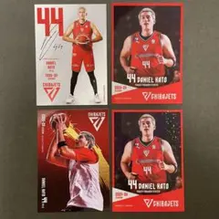 Item thumbnail for item 00dc93c4-c941-4f34-95b9-154185c23b46