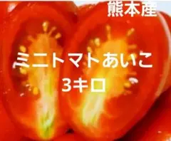ミニトマトあいこ 3キロのサムネイル