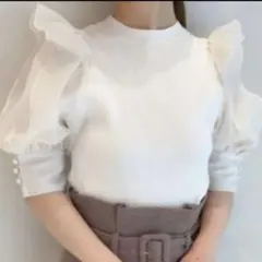 snidel オーガンジースリーブニットプルオーバー