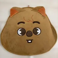 StrayKids スキズ ハン ジソン ハンクオッカ うちわケース - メルカリ