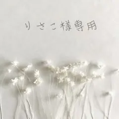 ❁﻿りさこ様専用ページ❁﻿