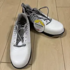 Item thumbnail for item b5a65d37-3893-4e51-81e9-32cfdab50430