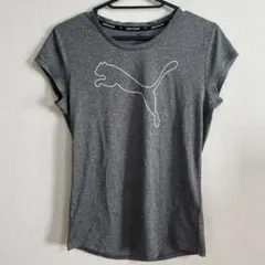 PUMA グレー Tシャツ Mサイズ