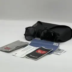 【美品！】 Ray-Ban ERIKA RB4171 ブラック
