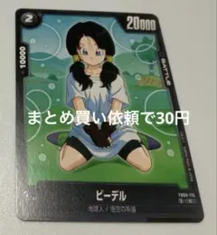 ワン様 リクエスト 10点 まとめ商品