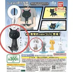 しょんぼり猫めじるしアクセサリー〜救出 物語〜ガチャガチャ