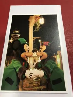 ディズニーリゾート 実写 ポストカード