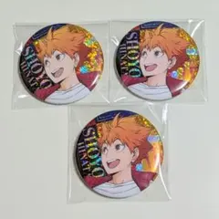 ハイキュー‼ ビスケット 缶バッジ 日向翔陽セット