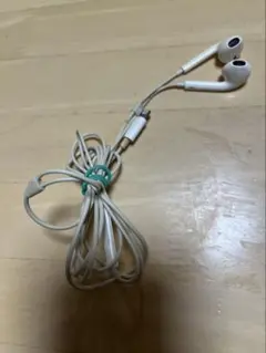 Apple純正品 イヤホン Lightning端子 ライトニング EarPods