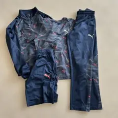 PUMA ネイビー ジャージセット