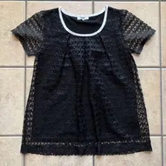 ナチュラルビューティー　黒レース使い高級カットソー