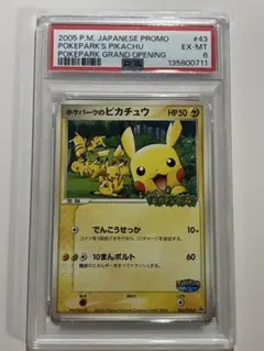 2026年最新】ポケパーク ピカチュウ psa10の人気アイテム - メルカリ