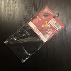 Item thumbnail for item f173c398-74de-4bb3-80de-086fd33b1c79