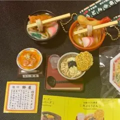 日本職人が作る 食品サンプル　ざるうどん　IP-432[検索用キーワード＝日本職人が作る 食品サンプル ざるうどん IP 432] 2025年最新職人が作る食品サンプルの人気アイテム - メルカリ