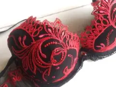 《リズシャルメル》Invitation Sexy　ブラ単品　FR90Aのサムネイル