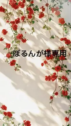 ぽるんが様一枚ブラックMサイズ