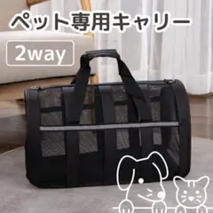 Item thumbnail for item c997ca5b-5b88-4906-8e00-875b11b32030