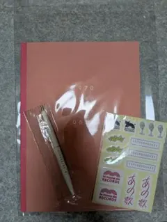 上白石萌音　ブロマイド　30枚セット 上白石萌音 ブロマイドの通販 by ぬまお's shop｜ラクマ