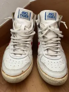 2025年最新】アシックスタイガーファブレジャパンLの人気アイテム