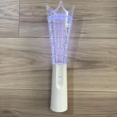 【超美品⭐️】嵐 ペンライト We are ARASHI 2026
