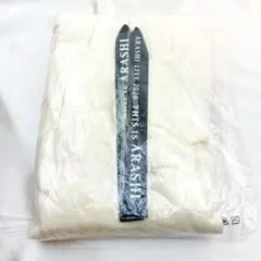 Item thumbnail for item e2fa180b-cb0a-4f96-baa4-cdd7c1e27bb0