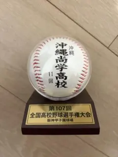 金子千尋 100勝記念ボール #10/19 - メルカリ