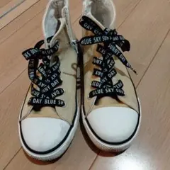 Item thumbnail for item 4a4c6154-cf01-4eab-843f-993cc2248a9f