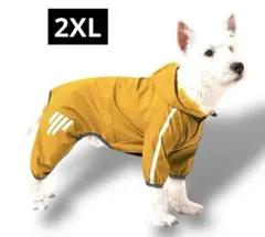 Item thumbnail for item 5a276323-dc6f-42ca-b25b-0f0a26cfa6fa