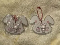 サンリオキャラクターズ パッケージチャーム&チョコボーロ ウィッシュミーメル