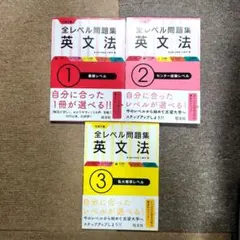 大学入試 全レベル問題集 英文法 1～3 セット