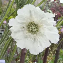 ザッキー様 リクエスト 2点 まとめ商品