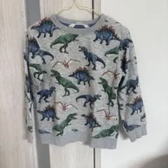 110㎝ H&M 恐竜柄トレーナー
