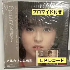 8cm CD 斉藤祐紀 Too Late 美脚美人歌手 美脚伝説~最終章~ - メルカリ
