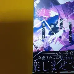 2冊！商業 BL 新刊 含 組み換え可能　眠れない夜は僕の香りを