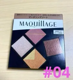 マキアージュ カスタマイズアイカラー アソート 04 アイシャドウ
