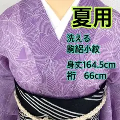 夏 絽 夏着物 小紋 裄丈67 幅広 ゆったり た120 - メルカリ