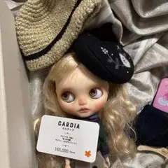 ネオブライス　本体　dakawaii dolls様　大人気作家　カスタム洋服多数