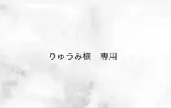 りゅうみ様専用ページ