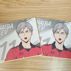 灰羽リエーフ ミニ色紙 ハイキュー