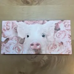 PERFECT DIARY アイシャドウパレット 豚
