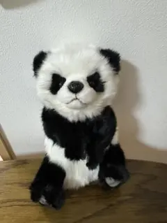 Item thumbnail for item 918b671c-9511-4be4-b745-048cc8b15597