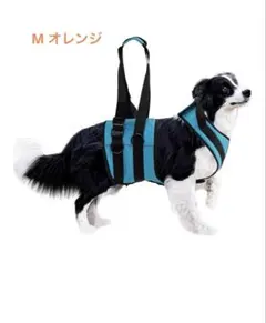 Item thumbnail for item 48d8923d-a1e6-40e7-8561-b8ae308c6b4c