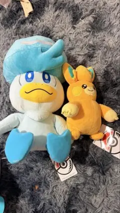 ポケモン ぬいぐるみ クワッス ホゲータ パモ ピカピカボックス 初夢