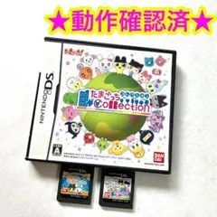 DS たまごっちコレクション たまごっちのなりきりチャンネル