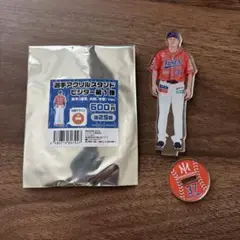 オイシックス新潟アルビレックスbc　ビジユニ　アクスタ 中山翔太