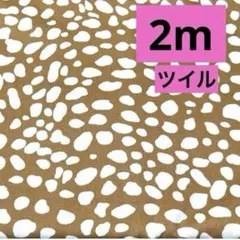 ラスト出品SALE★ツイル★ダルメシアン★カフェオレ★ラスト2枚