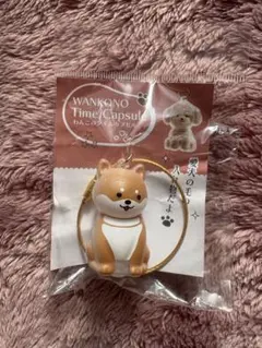 Item thumbnail for item bbcaa3a5-faee-408d-8e07-c0040c4babda