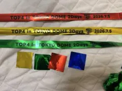 超美品】TOP4 東京ドーム 2days 7/4 銀テープ フル 4本セット - メルカリ