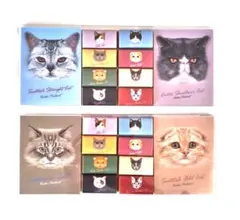 カルディ チョコレート キャットメモパッド 2種セット ネコ ねこの日 母の日