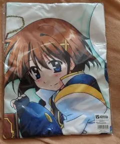 Item thumbnail for item 69c5f825-0e02-4831-8d2b-65c0bea351ff